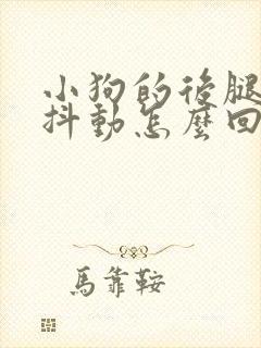 小狗的后腿一直抖动怎么回事封面