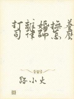 打离婚抚养权官司律师怎么收费