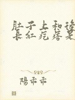 肚子上和后背上长红疙瘩是什么原因