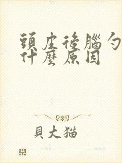 头皮后脑勺痒是什么原因