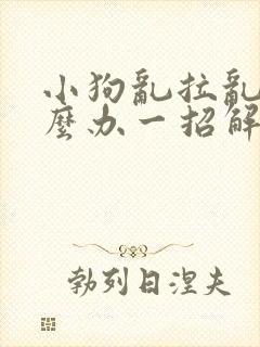 小狗乱拉乱尿怎么办一招解决