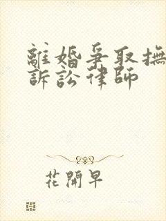 离婚争取抚养权诉讼律师