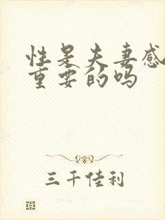 性是夫妻感情最重要的吗