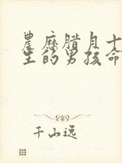 农历腊月十七出生的男孩命运封面