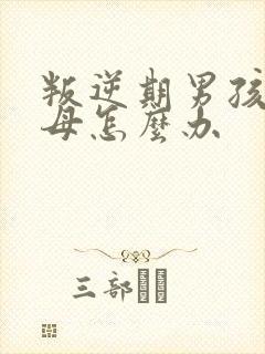 叛逆期男孩骂父母怎么办