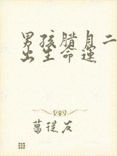 男孩腊月二十八出生命运