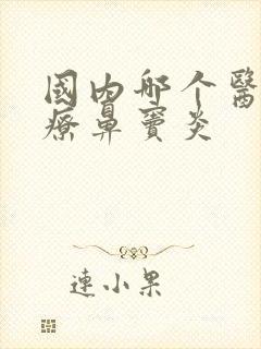 国内哪个医院治疗鼻窦炎封面