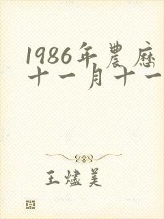 1986年农历十一月十一出生的人命运如何