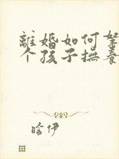 离婚如何拿到两个孩子抚养权