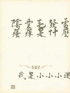 阴囊毛发处潮湿瘙痒是什么原因造成的