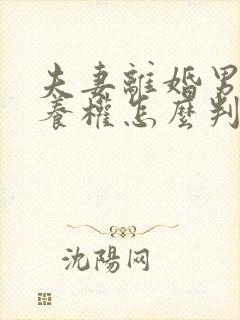 夫妻离婚男孩抚养权怎么判定封面