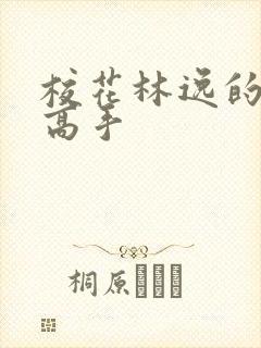 校花林逸的贴身高手封面