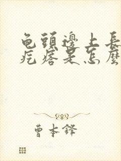 龟头边上长了小疙瘩是怎么回事