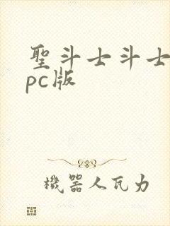 圣斗士斗士之魂pc版封面