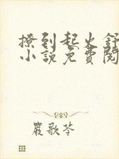 撩到起火舒漾的小说免费阅读全文