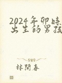 2024年卯时出生的男孩命运