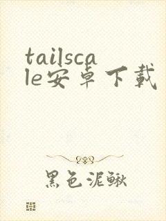 tailscale安卓下载