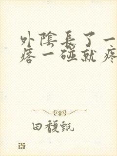 外阴长了一个疙瘩一碰就疼