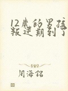 12岁的男孩子叛逆期到了吗