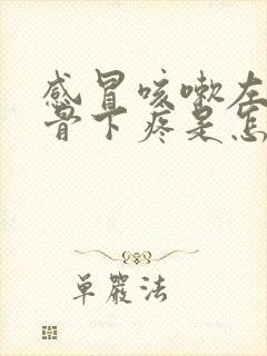 感冒咳嗽左边肋骨下疼是怎么回事