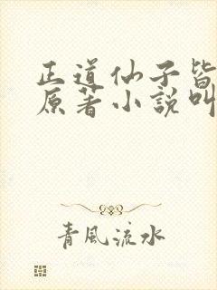正道仙子皆为奴原著小说叫什么名字