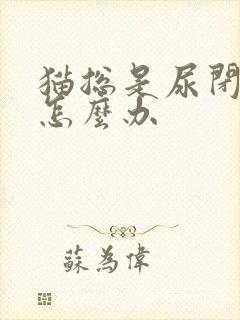 猫总是尿闭反复怎么办