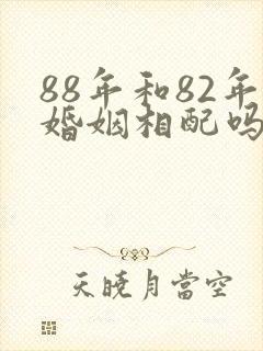 88年和82年婚姻相配吗