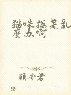 猫咪总是乱尿怎么办啊封面