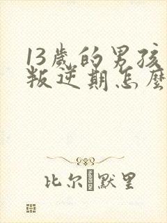 13岁的男孩了叛逆期怎么教