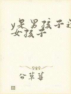 y是男孩子还是女孩子封面
