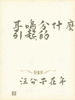 耳鸣分什么原因引起的