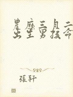 农历三月二十一出生男孩命运好吗?