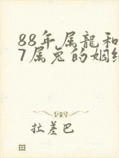 88年属龙和87属兔的姻缘怎样封面