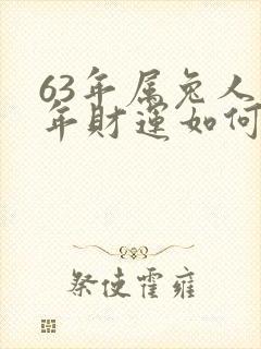 63年属兔人今年财运如何