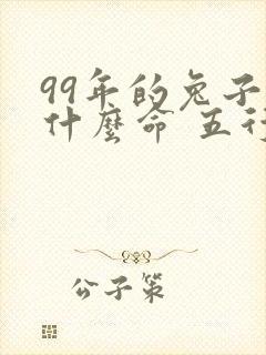 99年的兔子是什么命 五行属什么