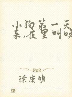 小狗第一天抱回来,夜里叫唤怎么办