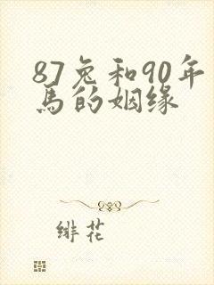 87兔和90年马的姻缘