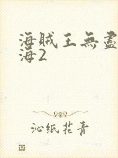 海贼王无尽的航海2