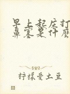 早上起床打喷嚏鼻塞是什么原因