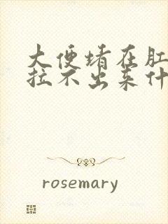 大便堵在肛门口拉不出来什么原因