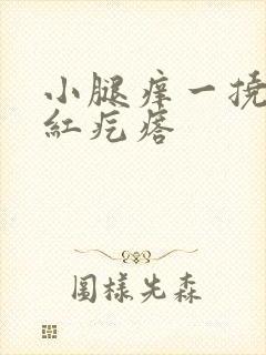 小腿痒一挠就起红疙瘩