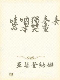 唢呐独奏秦雪梅吊孝哭灵