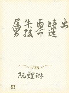 属牛酉时出生的男孩命运