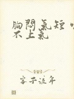 胸闷 气短 喘不上气