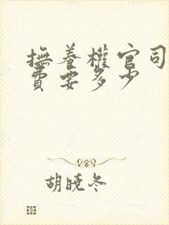 抚养权官司律师费要多少