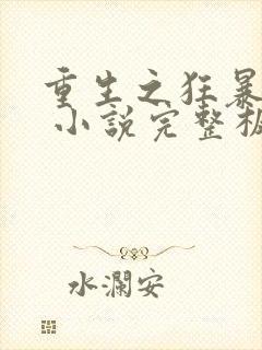 重生之狂暴火法 小说完整板