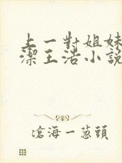 上一对姐妹花李洁王浩小说免费阅读