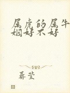 属虎的属牛的婚姻好不好封面