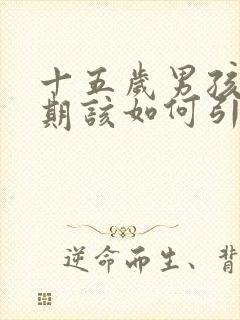 十五岁男孩叛逆期该如何引导封面