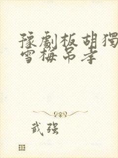 豫剧板胡独奏秦雪梅吊孝封面